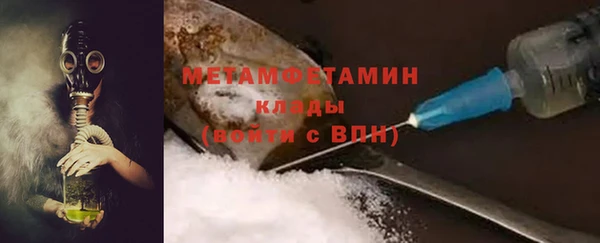 прущие грибы Волосово