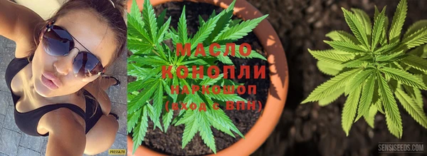 стаф Вязники