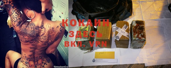 прущие грибы Волосово