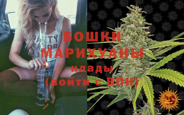 прущие грибы Волосово