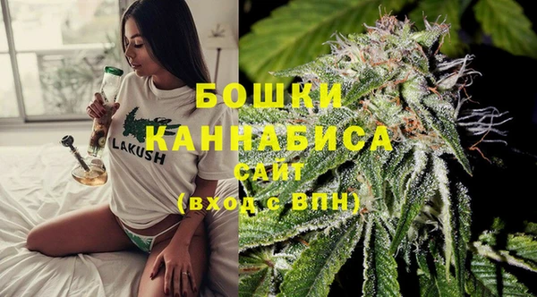 прущие грибы Волосово