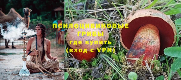 прущие грибы Волосово