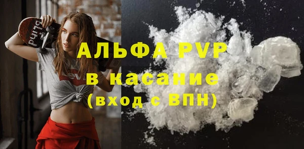 прущие грибы Волосово