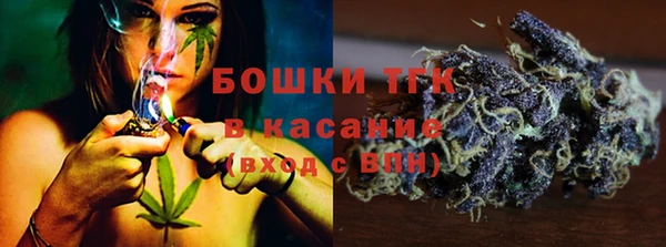 прущие грибы Волосово